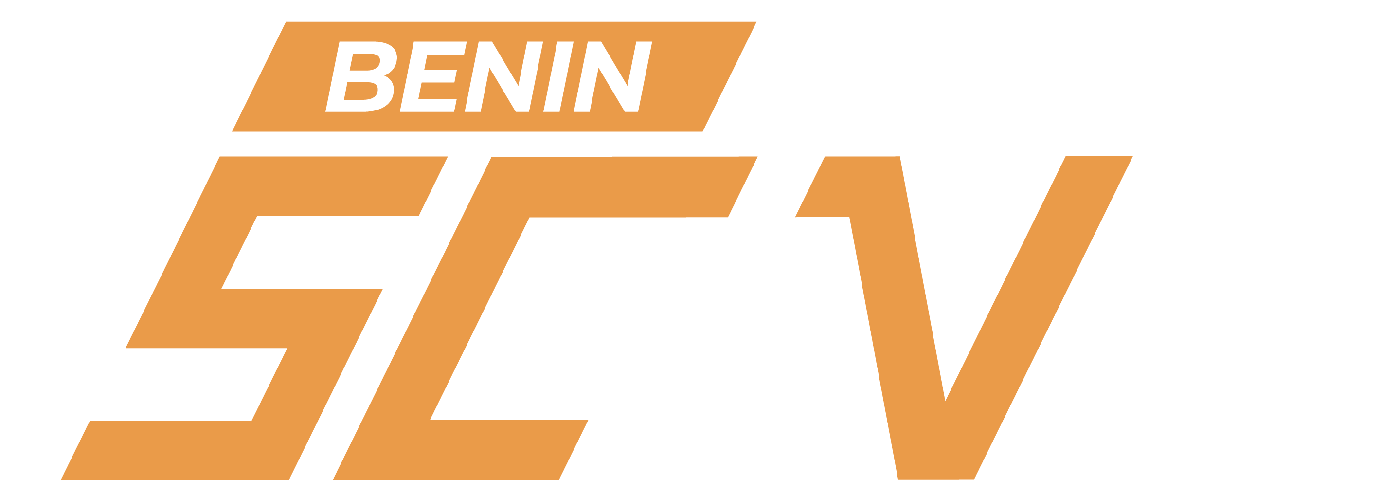 SCIN BENIN Logo